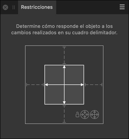 Panel Restricciones