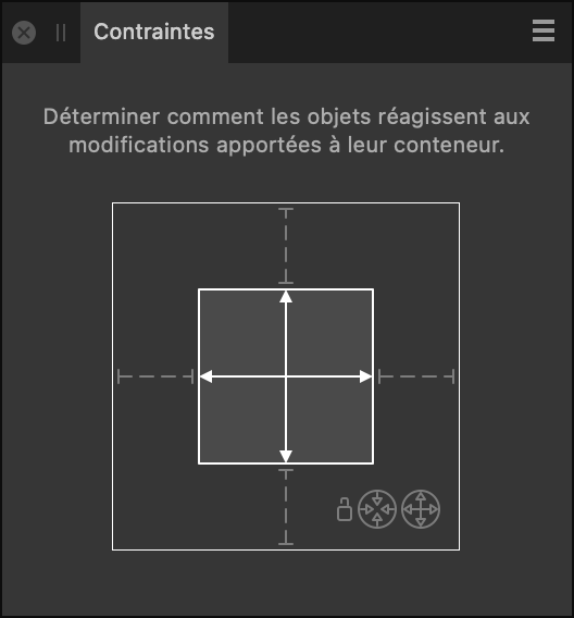 Sous-fenêtre Contraintes