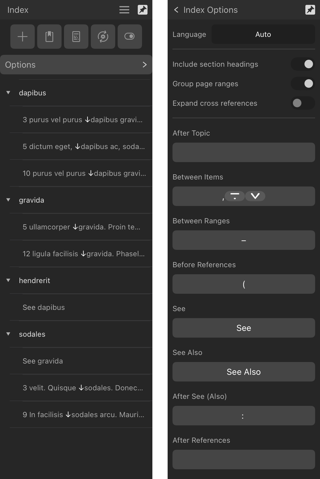 Index panel and Index Options section